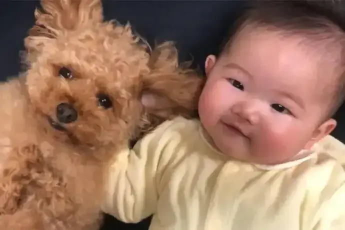 赤ちゃんと犬の同居生活で幸せ倍増