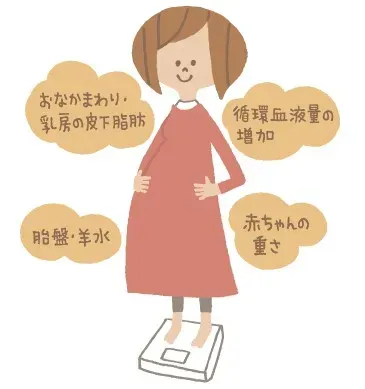 妊婦さんの体重増加