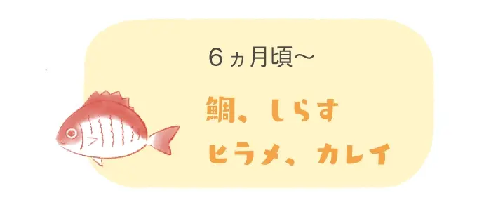 6ヶ月　魚