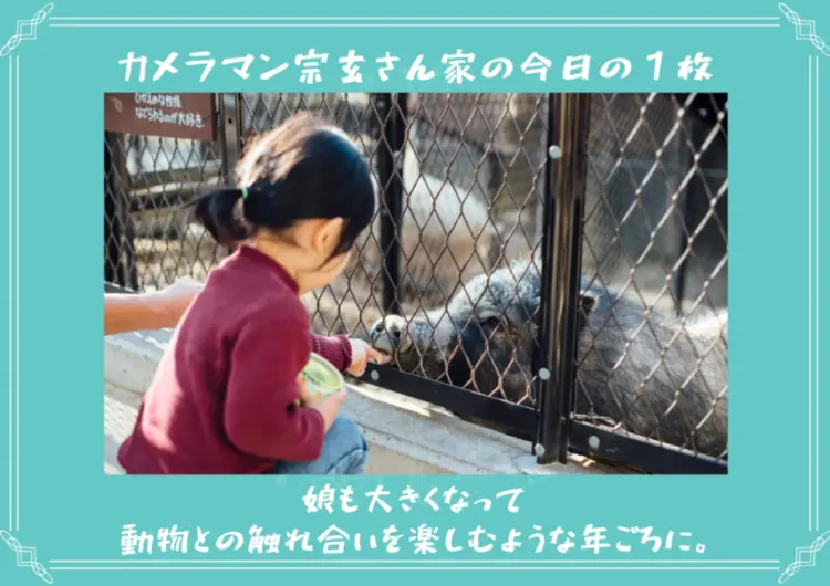 動物とふれあう子ども