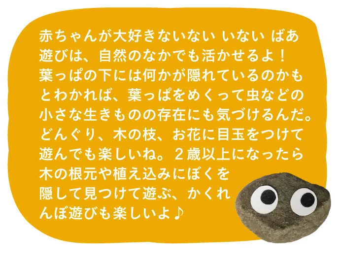 こいしくんの いないいないばあ　ポイント