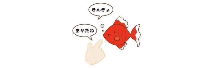 赤い金魚