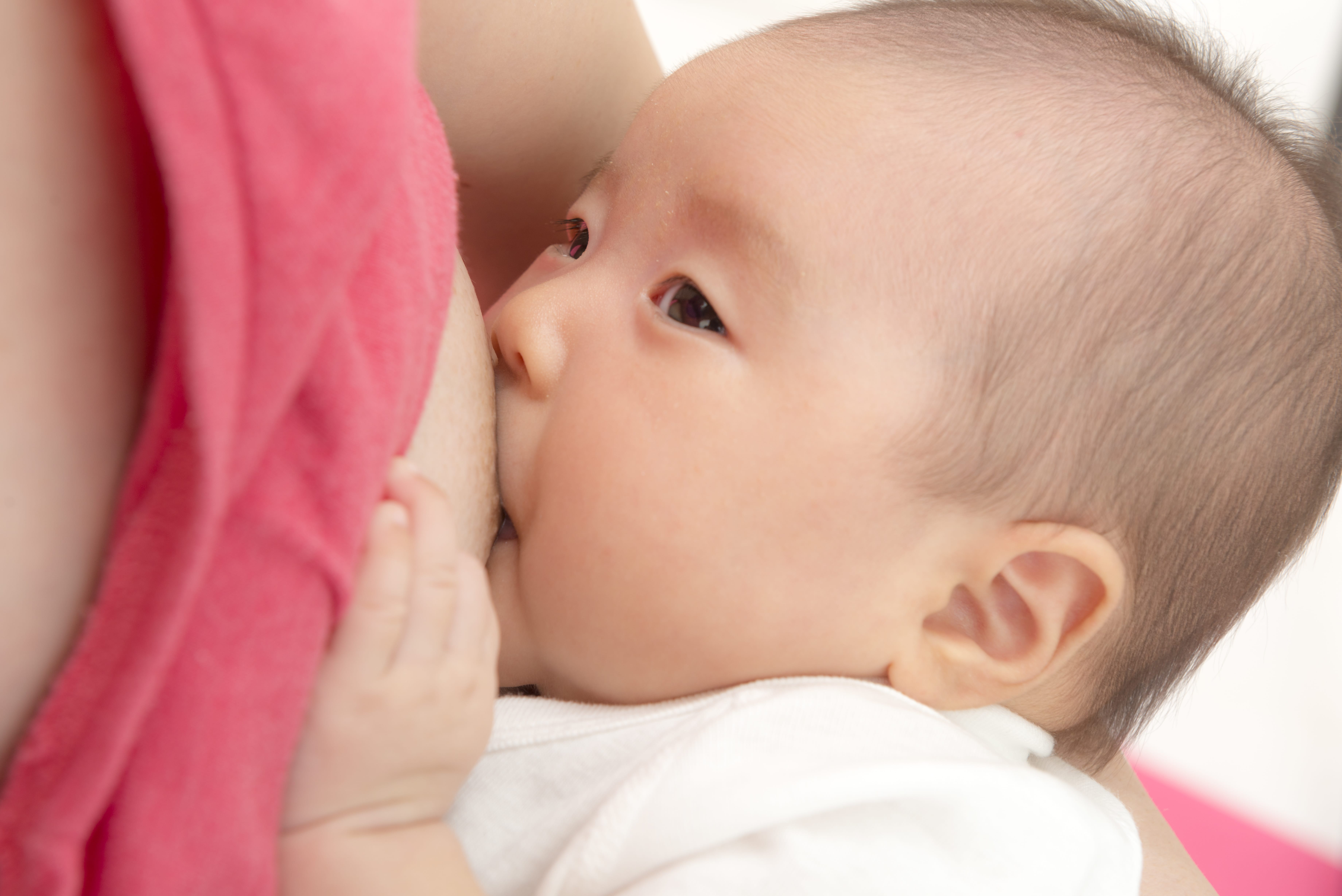 赤ちゃんの成長に合わせた 母乳育児の進め方
