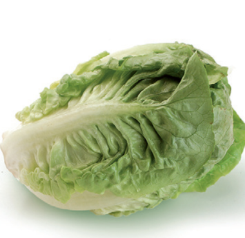 62eb603debd25_355x345-lechuga-tomos