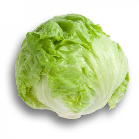 Lechuga Bruma RZ