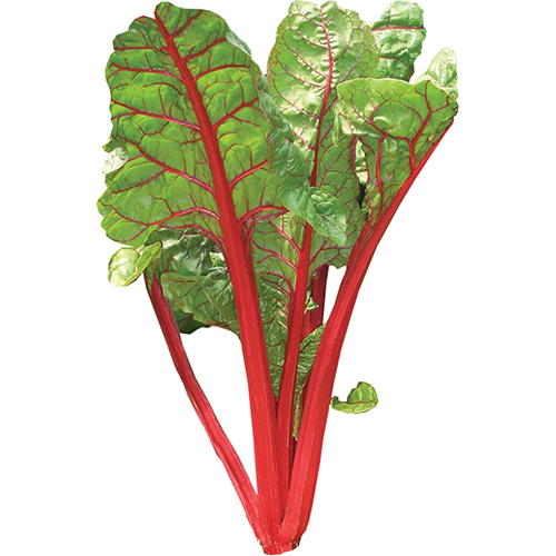 62ebf991c5744_Acelga Rhubarb