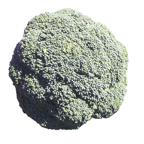 62eceea1613ac_Brocoli Gentleman