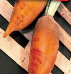 62f0c1874087b_vauriac