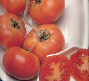 Tomate Tomate de colgar mallorquín