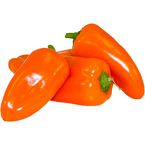 Pimiento Orangadya F1