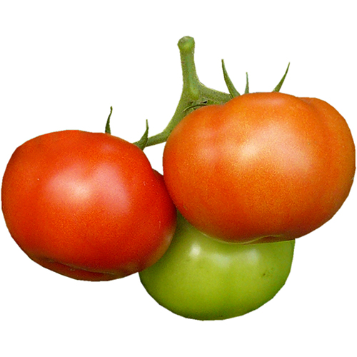 62f6515e3fd62_Tomate Tremendity