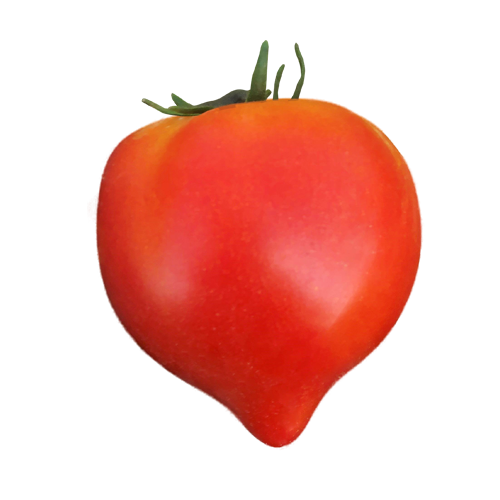 Tomate Valenciano DS-3417 F1