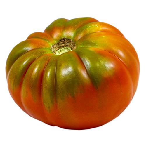 Tomate Maryposa F1