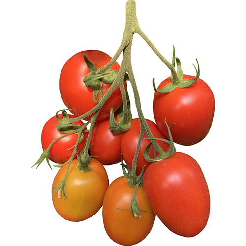 62f68401c6aed_Tomate DS-165