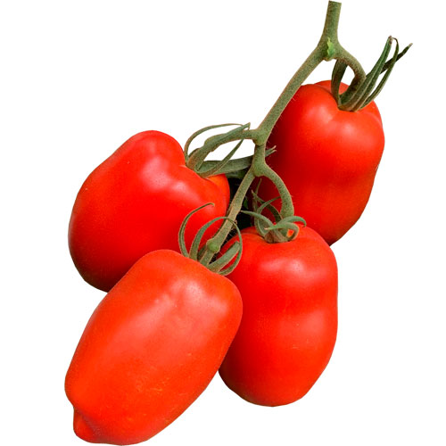 62f68a233ccee_Tomate Bestial