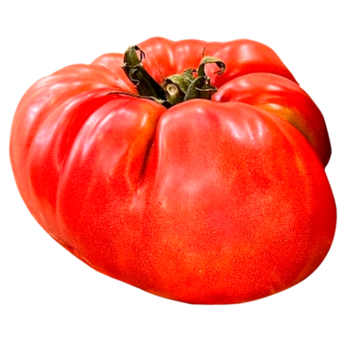 62f694c836f0d_Tomate Rozabella