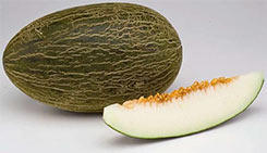 Melón Jimenado F1