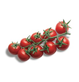 Tomate Bacco F1