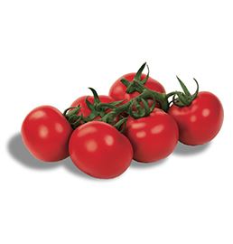 Tomate Eracle F1 Ramo