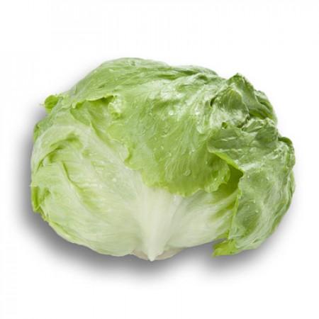 Lechuga Salmarinas RZ