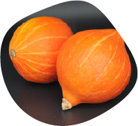 Calabaza Colinky F1