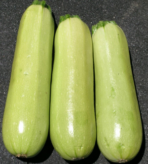 63dd50a2bf0f2_Eleonor