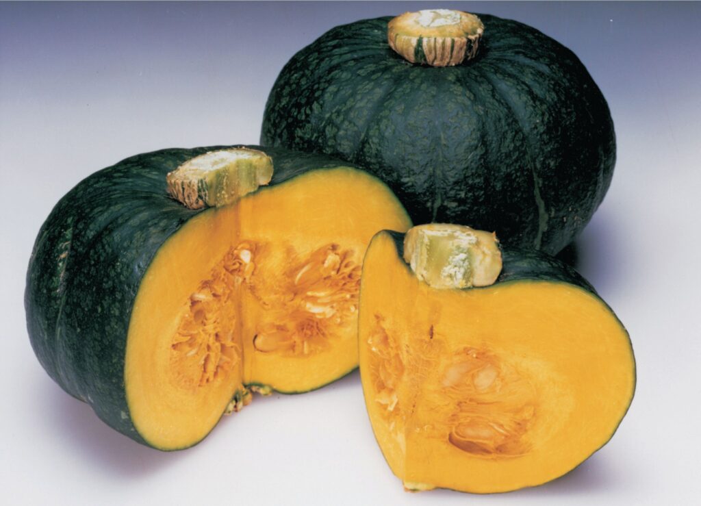 Calabaza Special Export F1