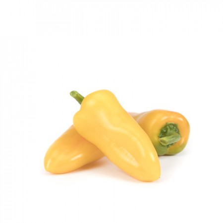 Pimiento Yellow Zuppa RZ F1