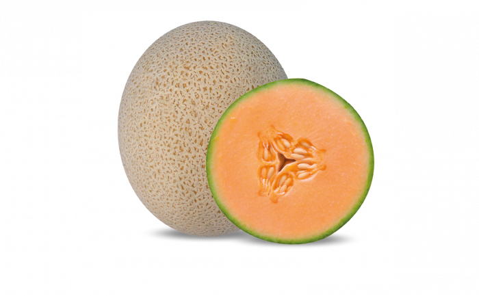 64bf93613d451_cantalupo