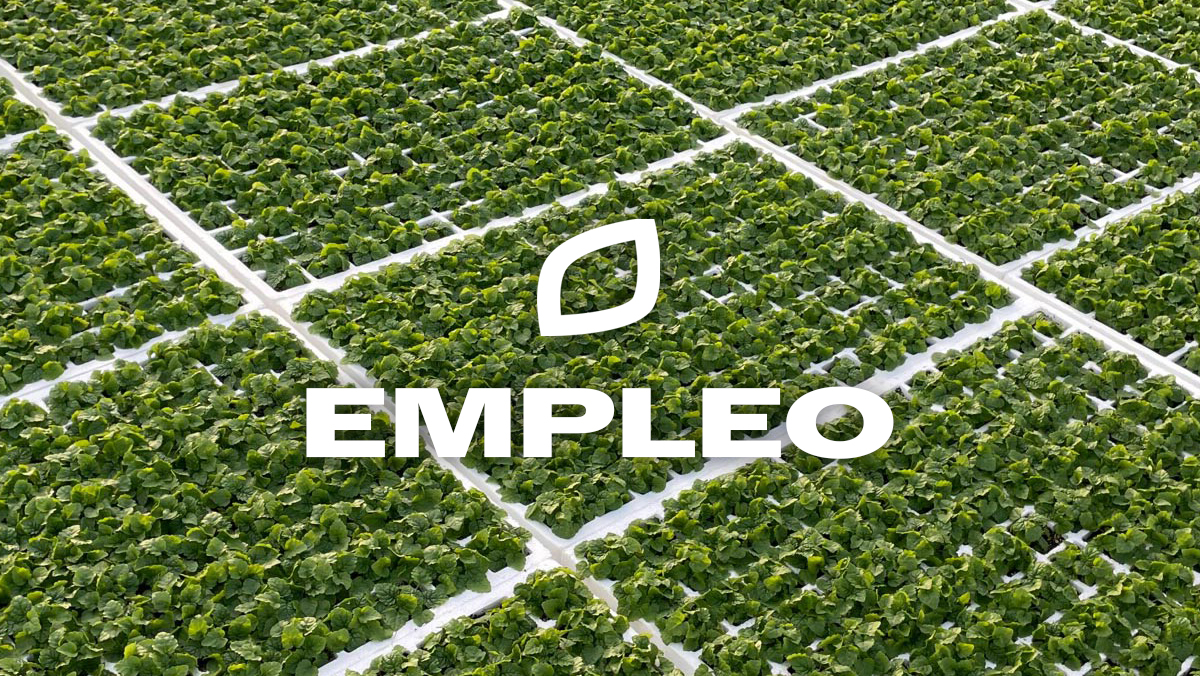 660179ef70355_Portada-empleo2