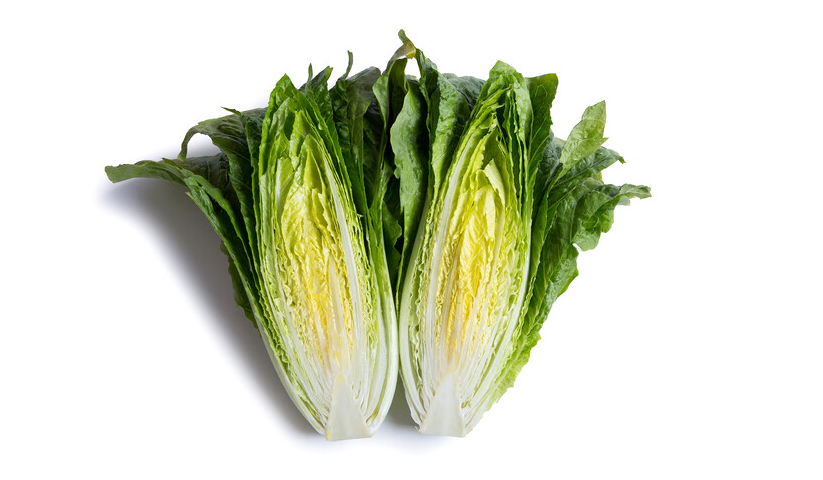 Lechuga Sampedro