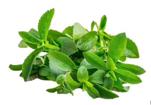 68b1c4e4764fc_stevia