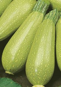 69281c3d98e06_clarita