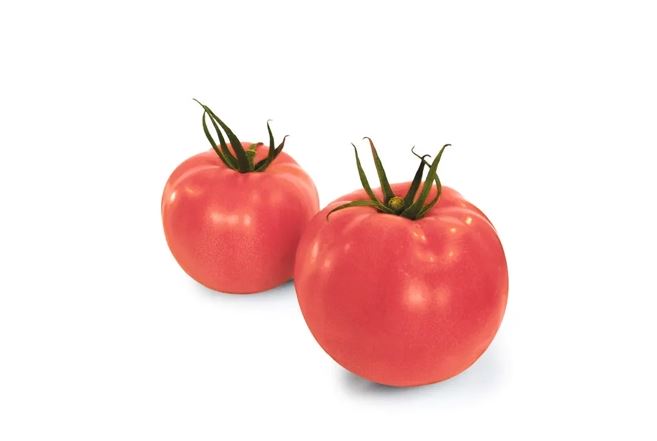 694bbaf6142b9_MASUmi