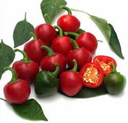 694ebdcbc6d4b_unnamed