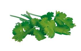 694f8c06872a2_download