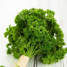 694f963f68331_download