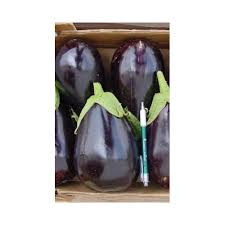 695406e1a2201_download