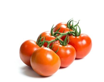 6a19573ea42b6_sahrasol