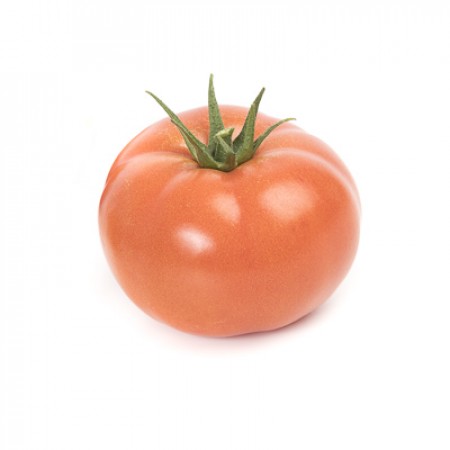 Tomate Valdeon RZ