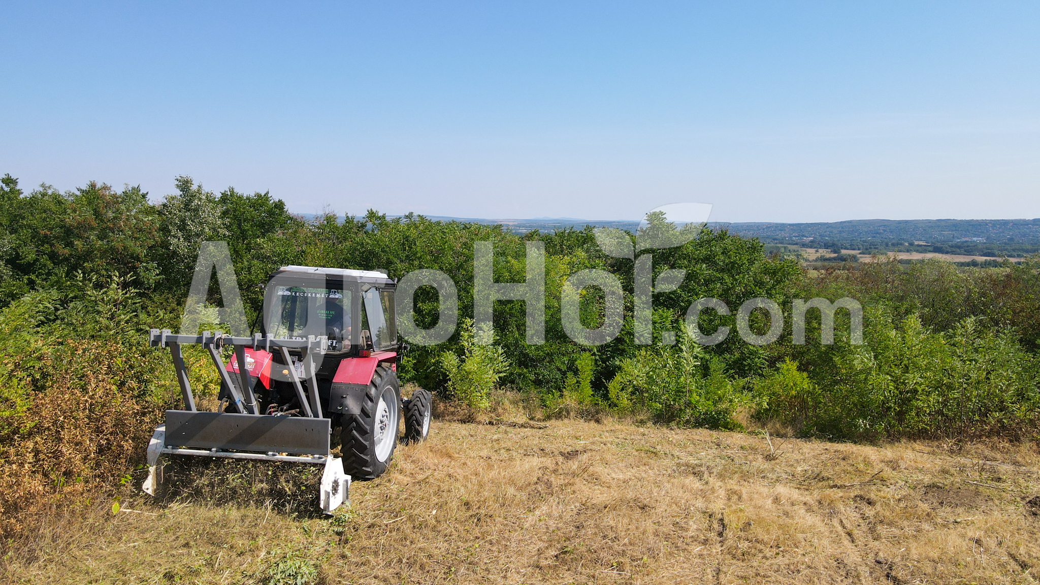 Cleaning of overgrown areas with forestry mower.