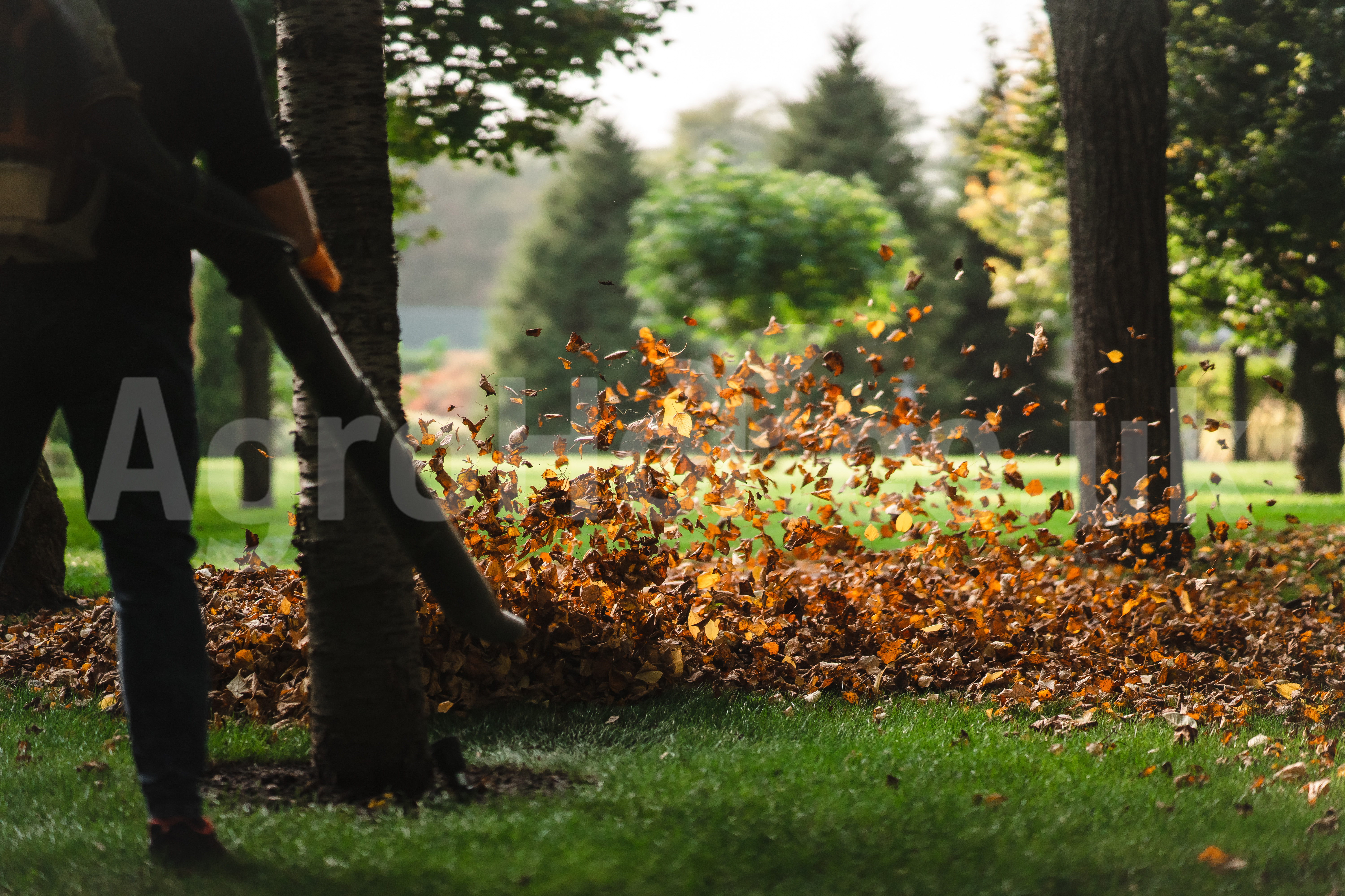 Bothered by the mess in your garden !?