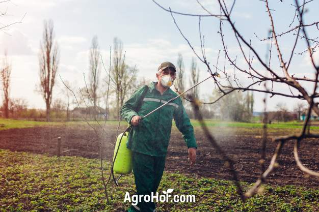 Autumn wash-down spraying - It's important to do it before the frosts set in!