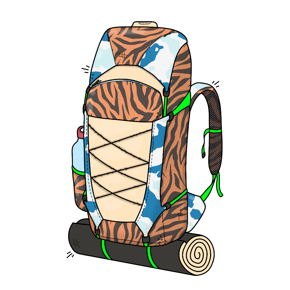Backpack asset