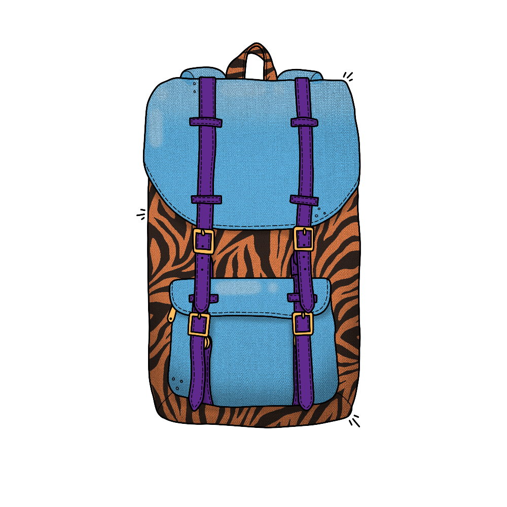 Backpack asset