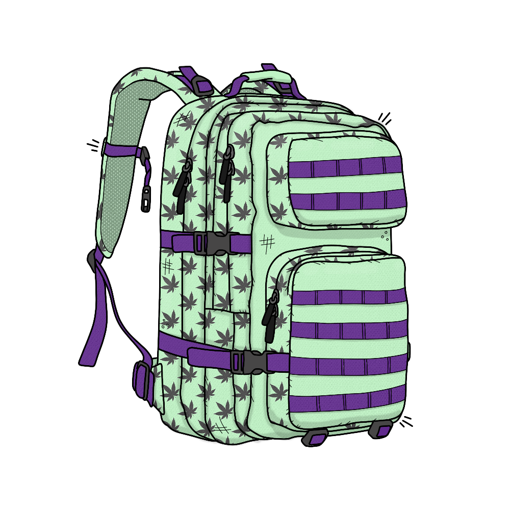 Backpack asset