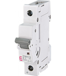 ETIMAT RC Intrerupatoare automate miniatura cu control de la distanța ETIMAT P10-DC 1p K1