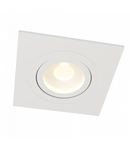 Downlight Atom DL024-2-01W