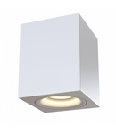 Lampa tavan Alfa C013CL-01W