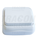 Buton cu pictograma iluminat, pe tencuiala (pentru tapet) TTK-04L 10AX/250VAC, IP20 (N101)